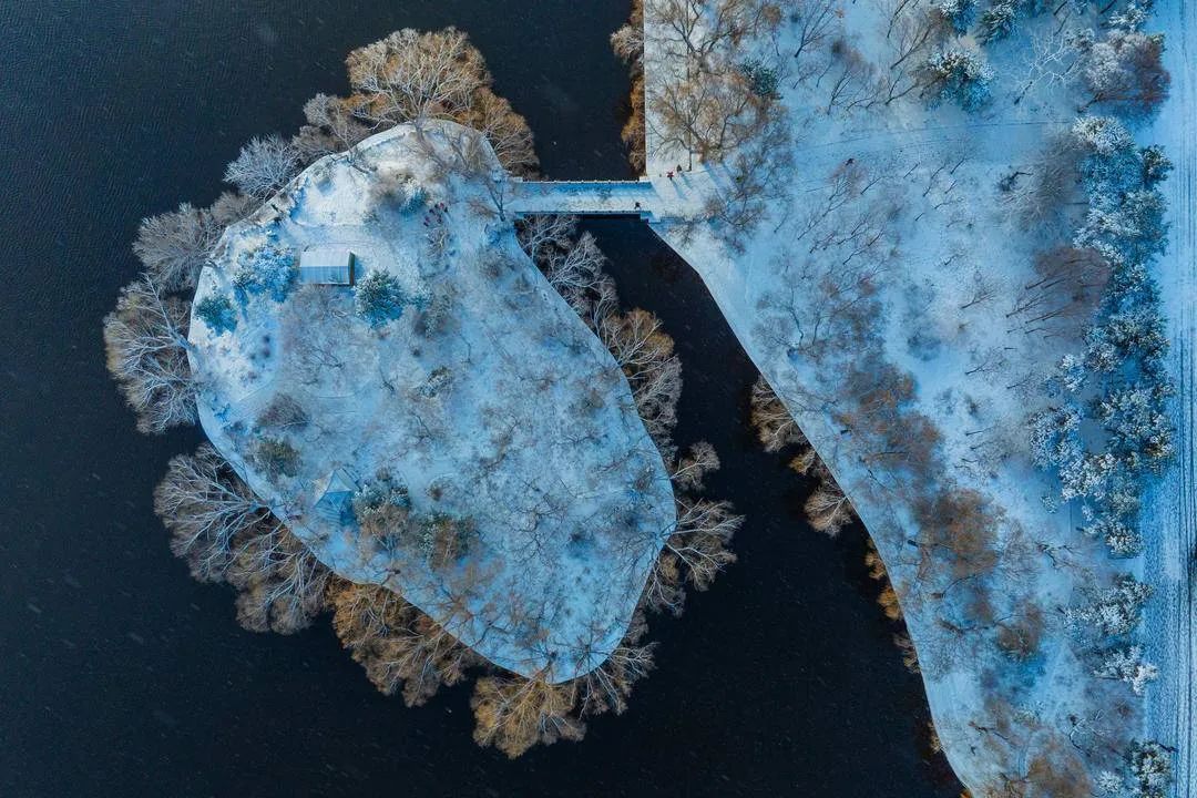 雪就快来了！事关“谷子”！沈阳发布寒假消费提示→