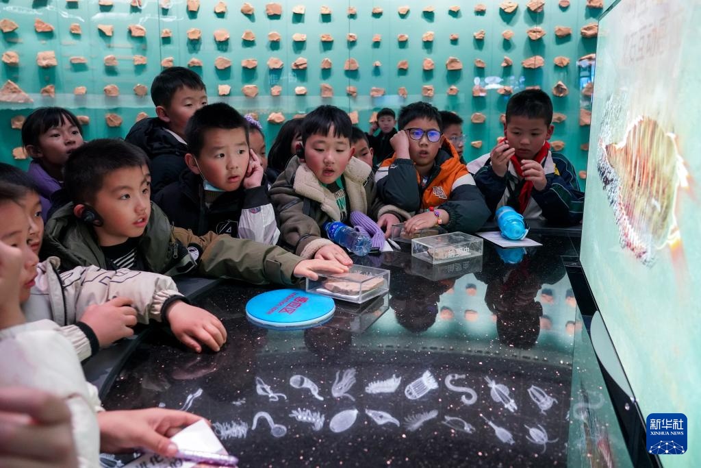 走进澄江化石地世界自然遗产博物馆 走进澄江化石地世界自然遗产博物馆