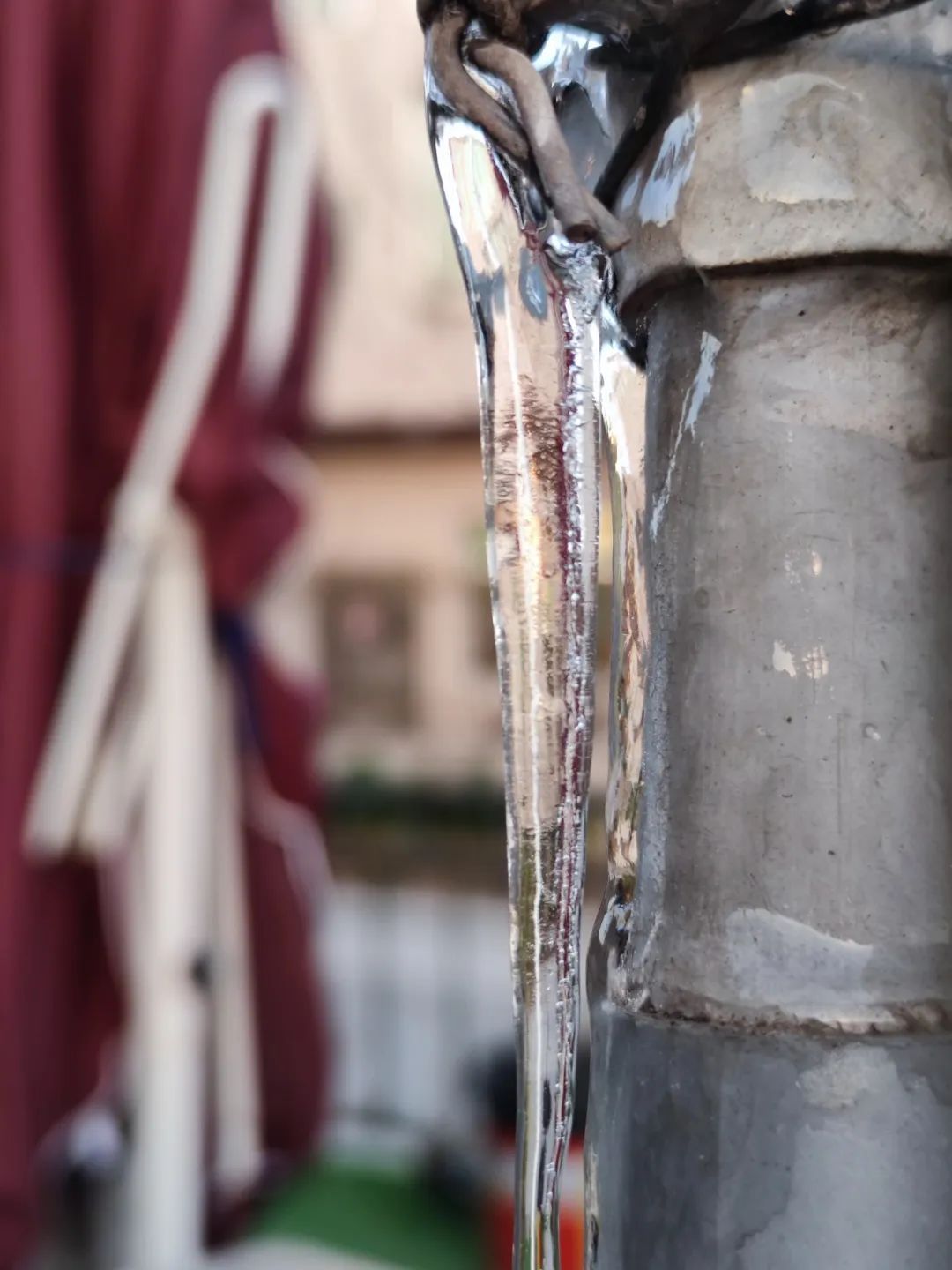 -0.6℃，结冰了！厦门本站刷新今冬最低！