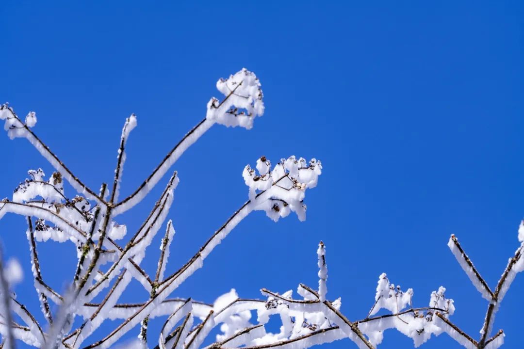 壮观！广西这个景区变成冰雪世界！