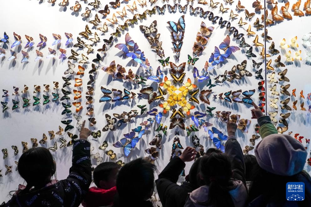 走进澄江化石地世界自然遗产博物馆 走进澄江化石地世界自然遗产博物馆