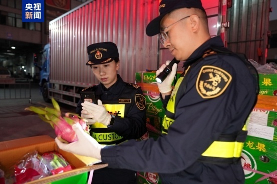 水果跨境“小创新”,湾区市场“新道理” 水果跨境“小创新”,湾区市场“新道理”