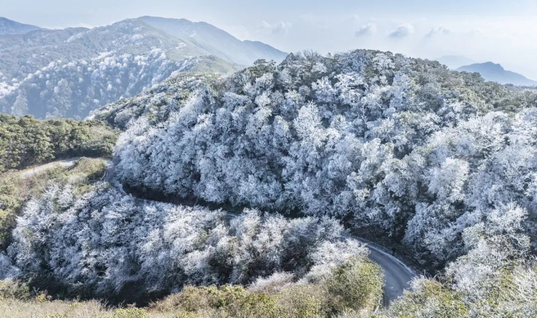 壮观！广西这个景区变成冰雪世界！