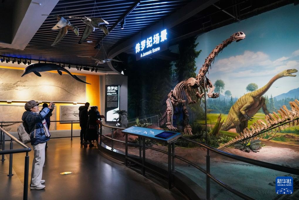 走进澄江化石地世界自然遗产博物馆 走进澄江化石地世界自然遗产博物馆