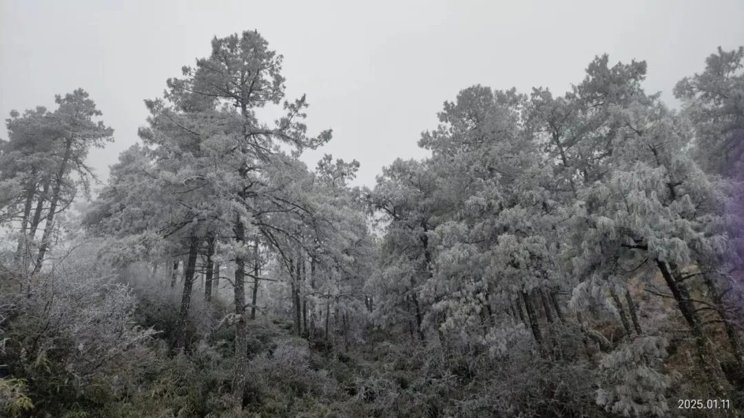 刚刚，昆明下雪啦！接下来云南的天气情况是......