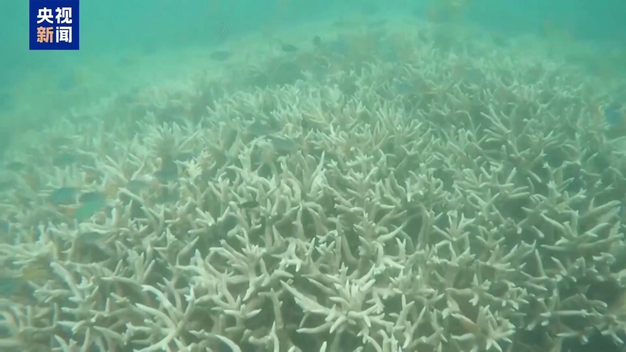 2024年为有记录以来最热年 极端天气加剧气候危机 2024年为有记录以来最热年 极端天气加剧气候危机