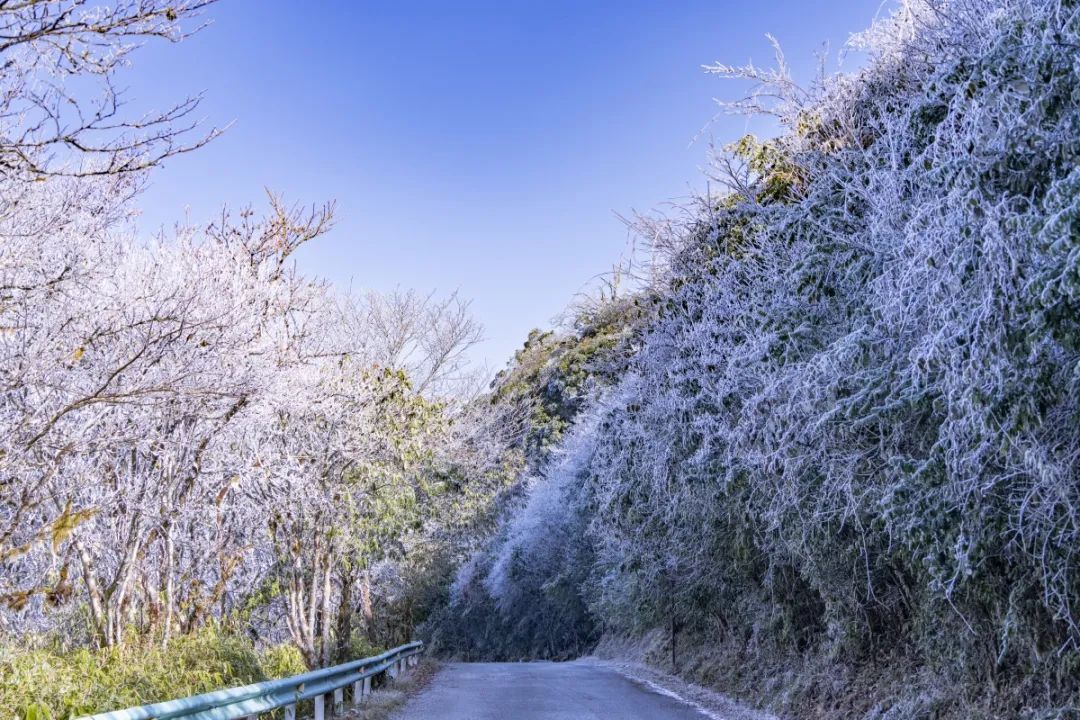 壮观！广西这个景区变成冰雪世界！