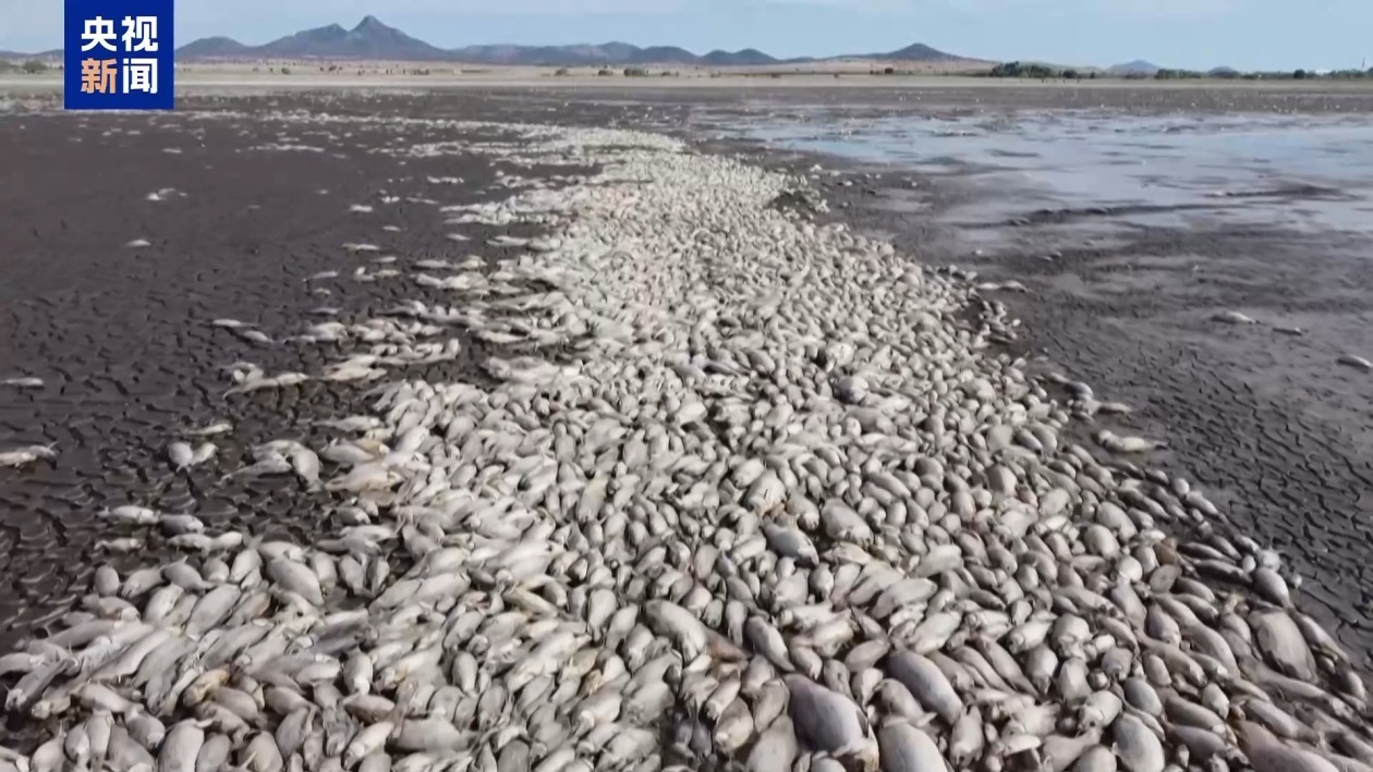 2024年为有记录以来最热年 极端天气加剧气候危机 2024年为有记录以来最热年 极端天气加剧气候危机