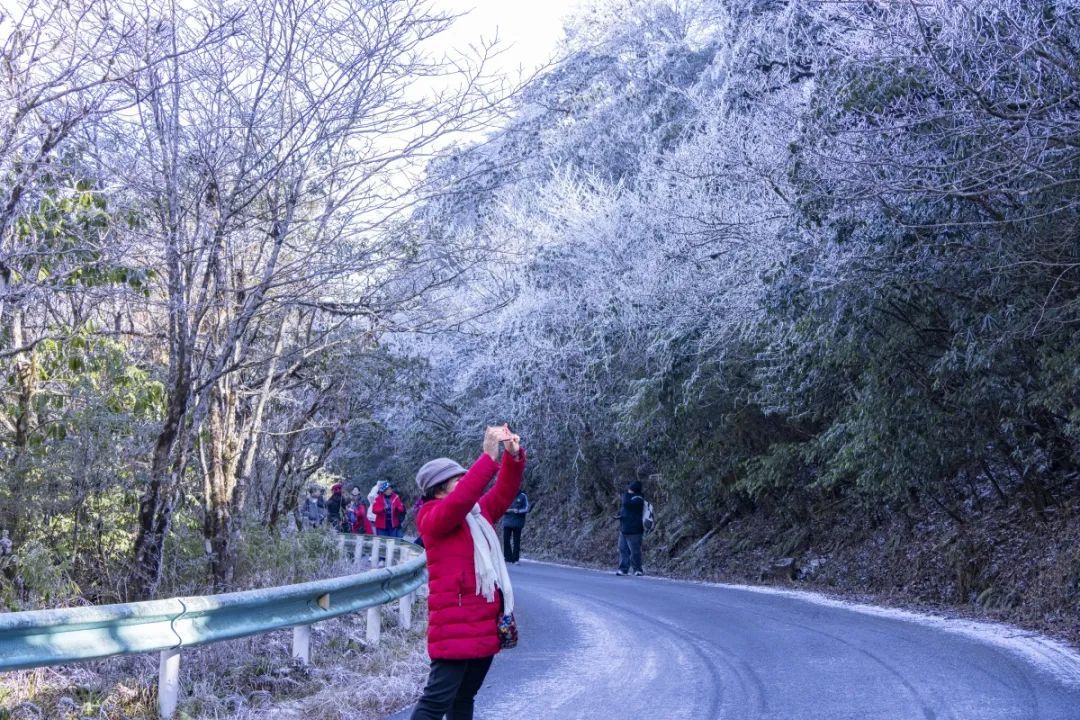 壮观！广西这个景区变成冰雪世界！