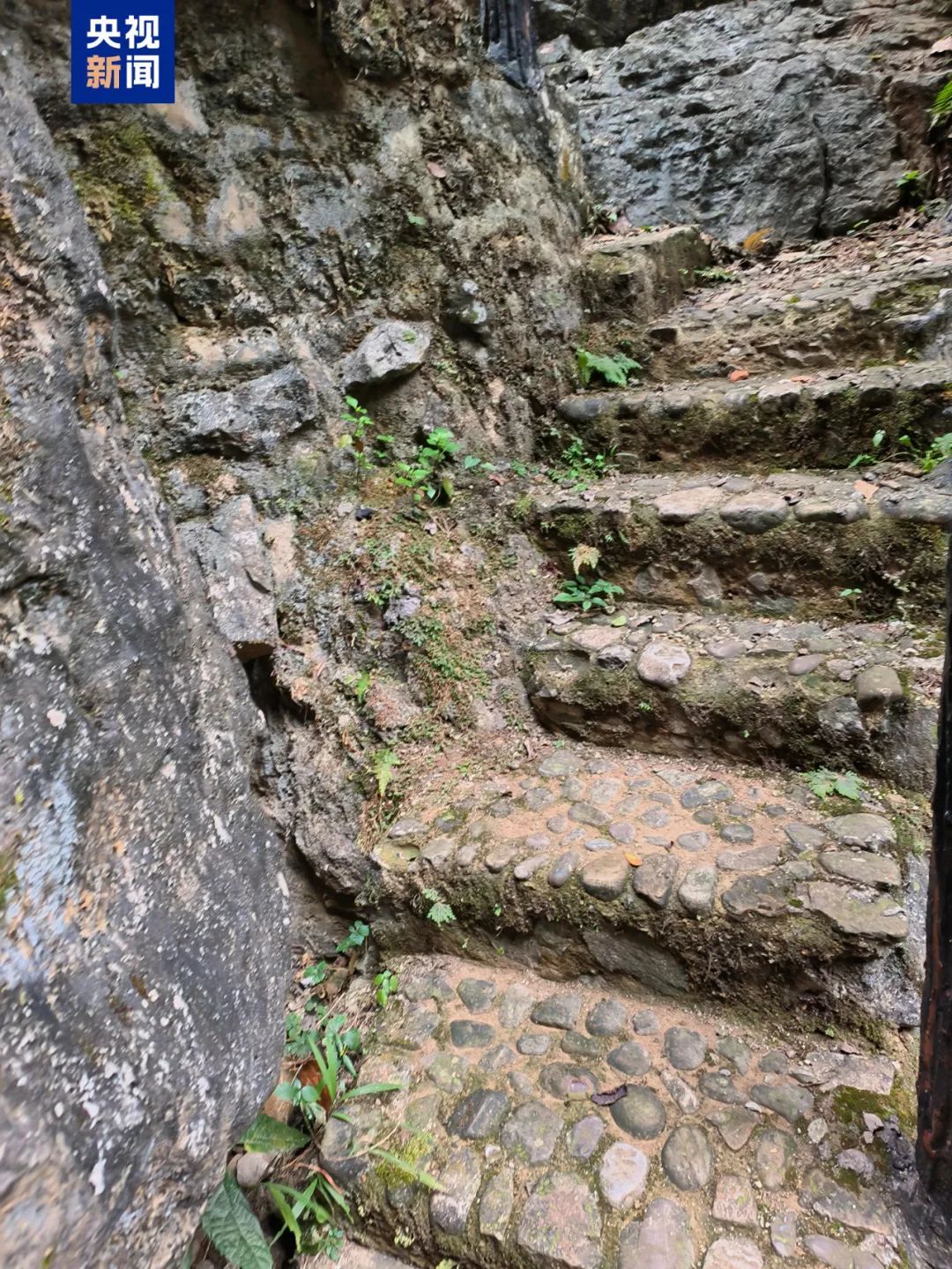 3小时→30分钟!这群孩子坐着“空中校车”去上学 3小时→30分钟!这群孩子坐着“空中校车”去上学