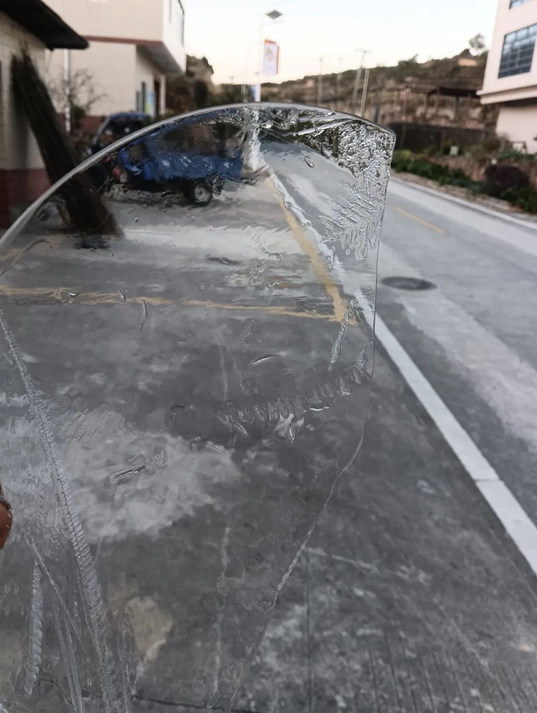 -0.6℃，结冰了！厦门本站刷新今冬最低！