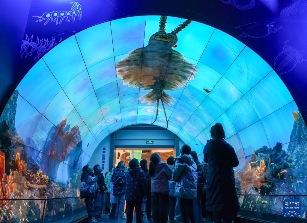 走进澄江化石地世界自然遗产博物馆 走进澄江化石地世界自然遗产博物馆