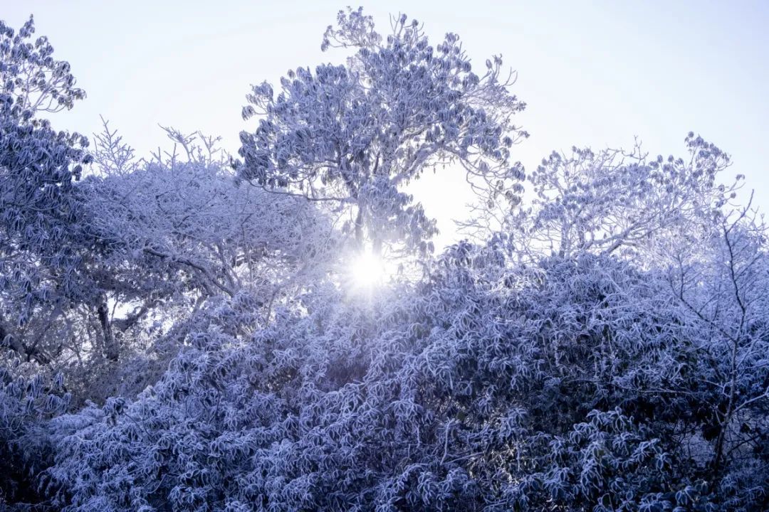 壮观！广西这个景区变成冰雪世界！