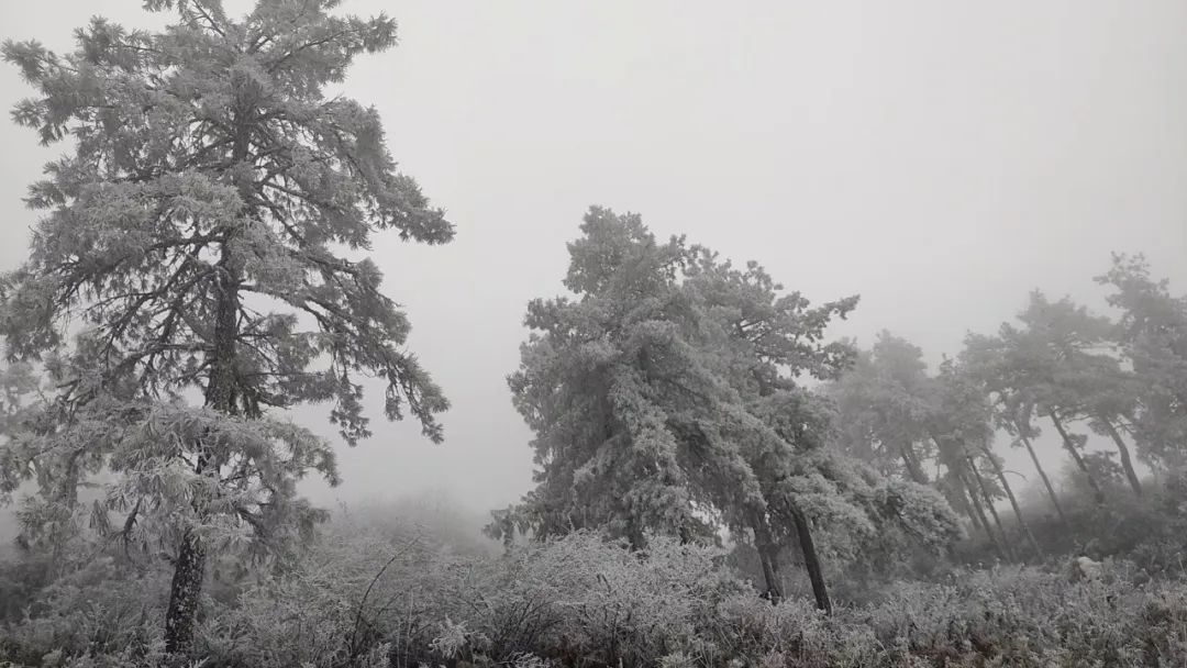 刚刚，昆明下雪啦！接下来云南的天气情况是......