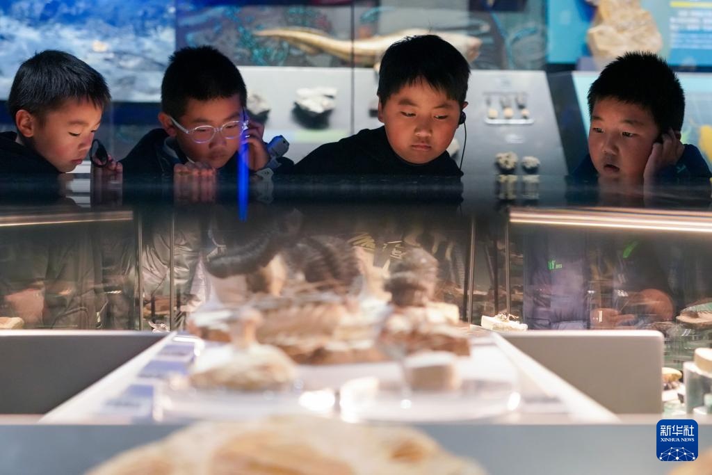 走进澄江化石地世界自然遗产博物馆 走进澄江化石地世界自然遗产博物馆