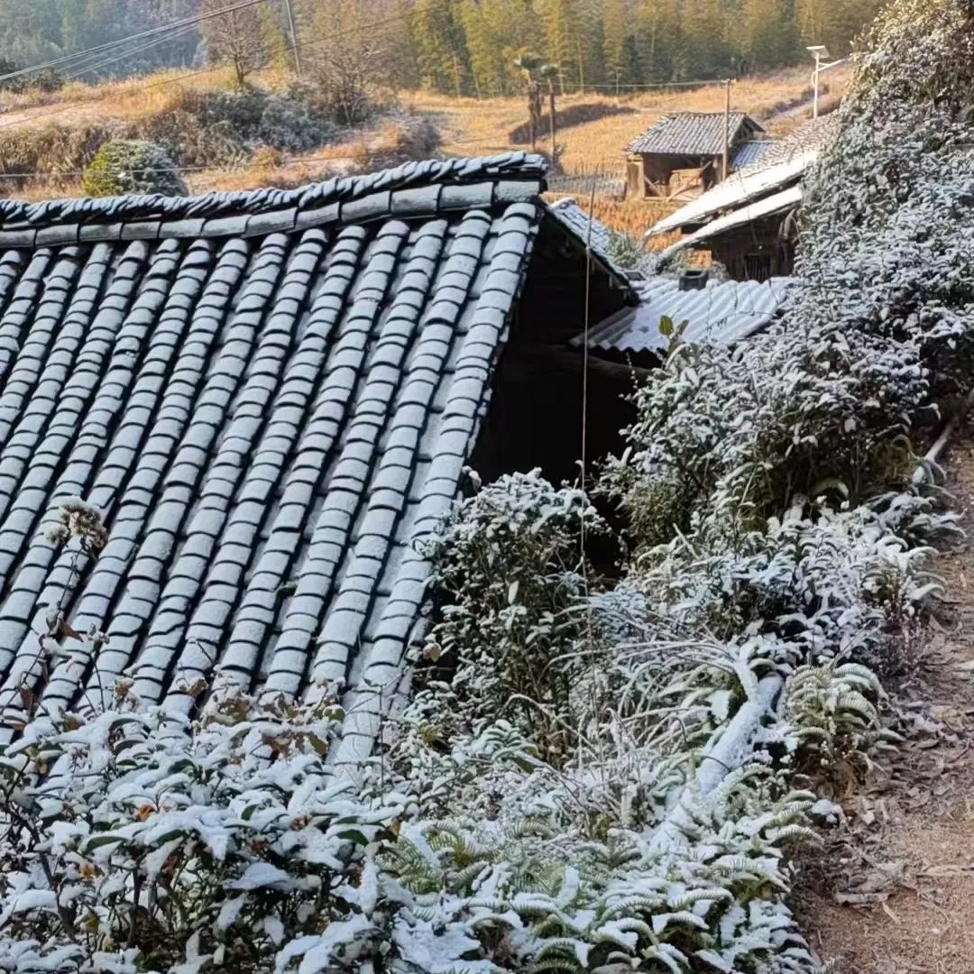 -0.6℃，结冰了！厦门本站刷新今冬最低！