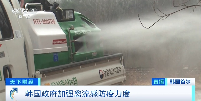 最高级别“危机警报”!禽流感疫情快速蔓延,韩国发生了什么? 最高级别“危机警报”!禽流感疫情快速蔓延,韩国发生了什么?