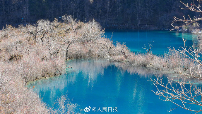 绝美！九寨沟的雪惊艳了冬天