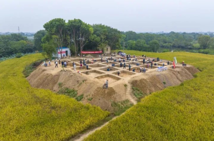 芜湖神墩头遗址，最新发现！