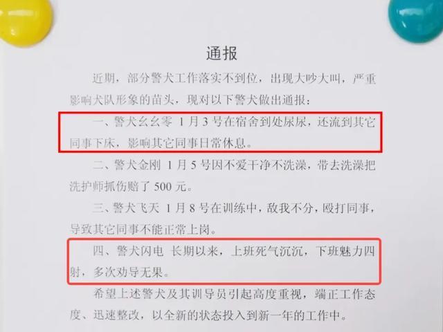 “上班死气沉沉、殴打同事、到处尿尿……” 4只警犬被通报