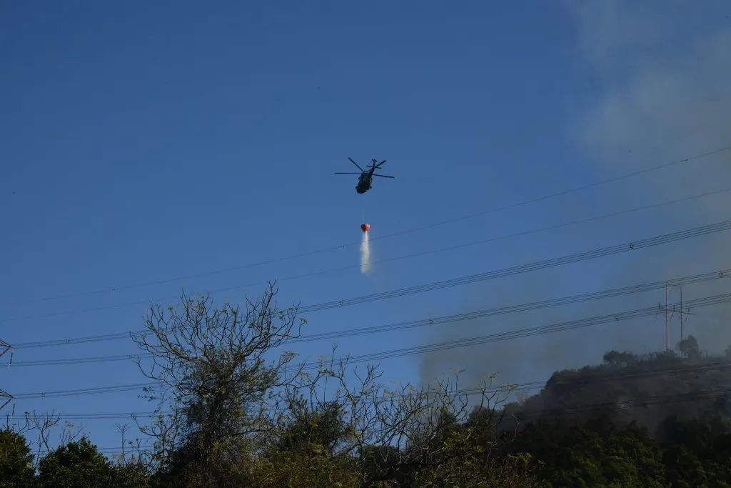 香港突发！遇到山火，如何避险？
