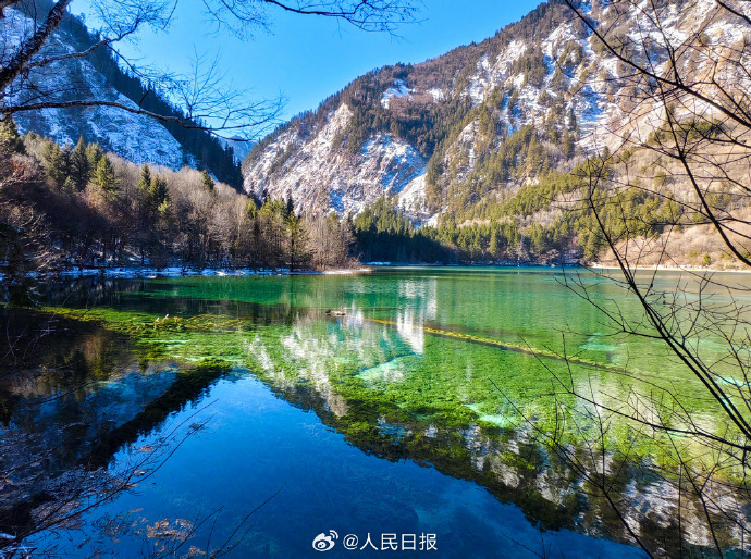 绝美！九寨沟的雪惊艳了冬天