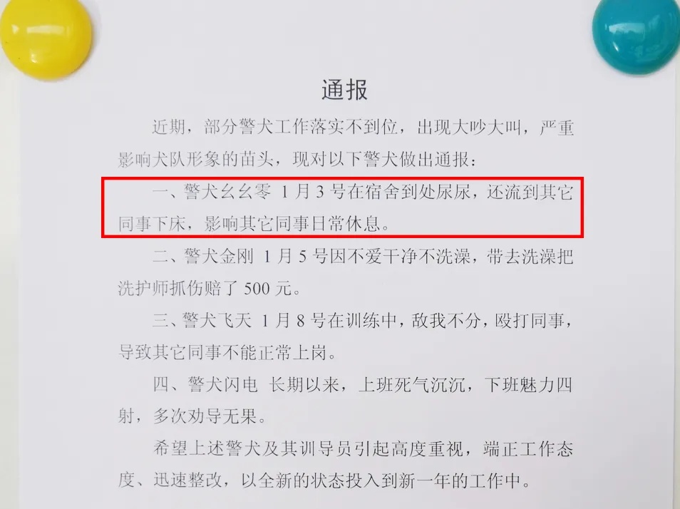 “上班死气沉沉下班魅力四射……”这则通报冲上热搜！