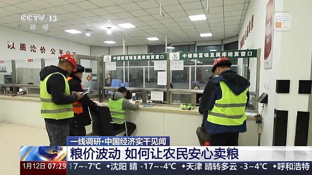 一线调研丨秋粮收购进入高峰期，如何保证农民卖得安心？