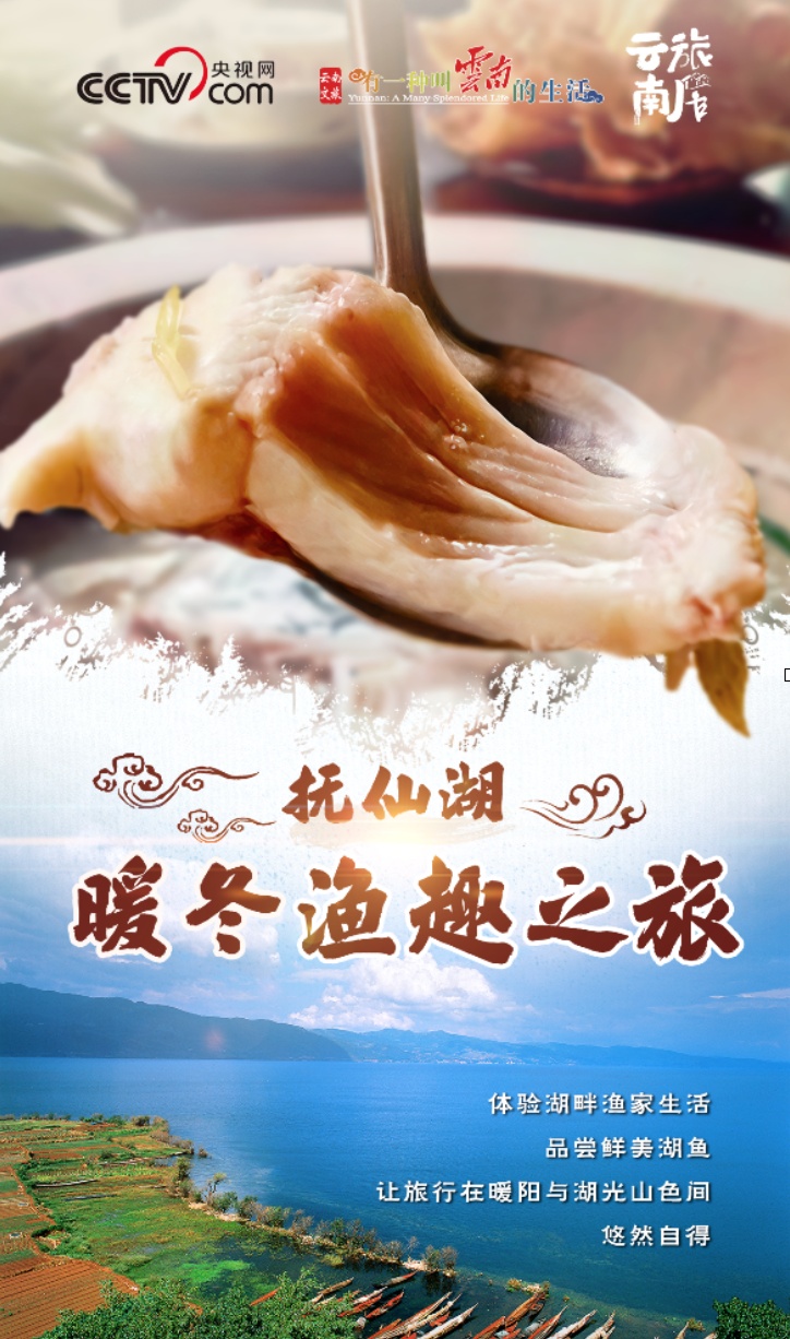冬暖花开游云南：打卡抚仙湖“暖冬”渔趣