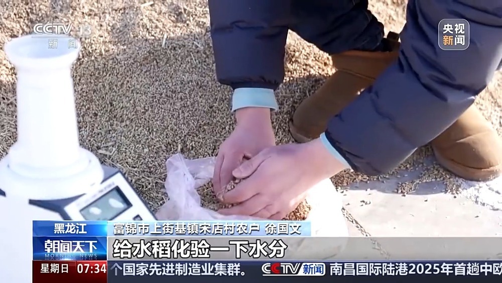 一线调研丨秋粮收购进入高峰期，如何保证农民卖得安心？