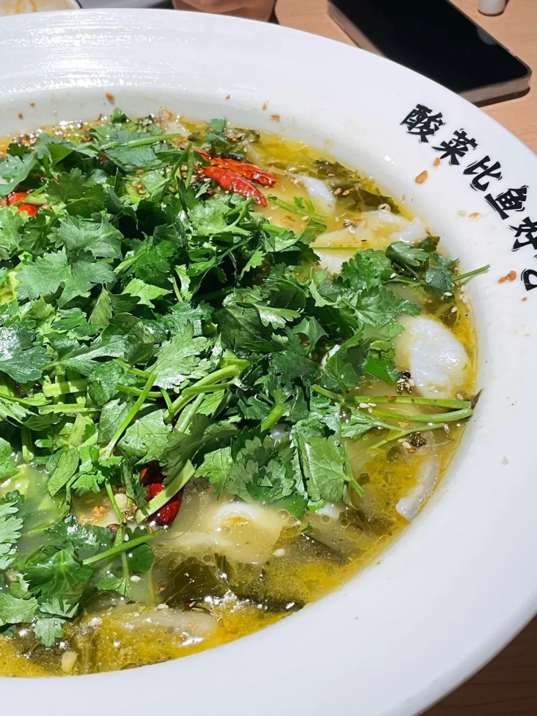 盘点那些被读错的植物 | 薜荔VS芫荽：名字很“高级”，样子很普通！