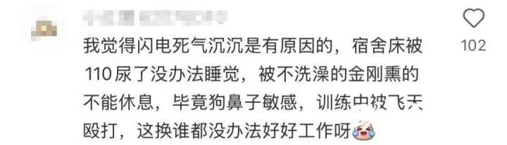 “上班摸鱼、殴打同事、到处尿尿……” 4只警犬被通报 “上班摸鱼、殴打同事、到处尿尿……” 4只警犬被通报