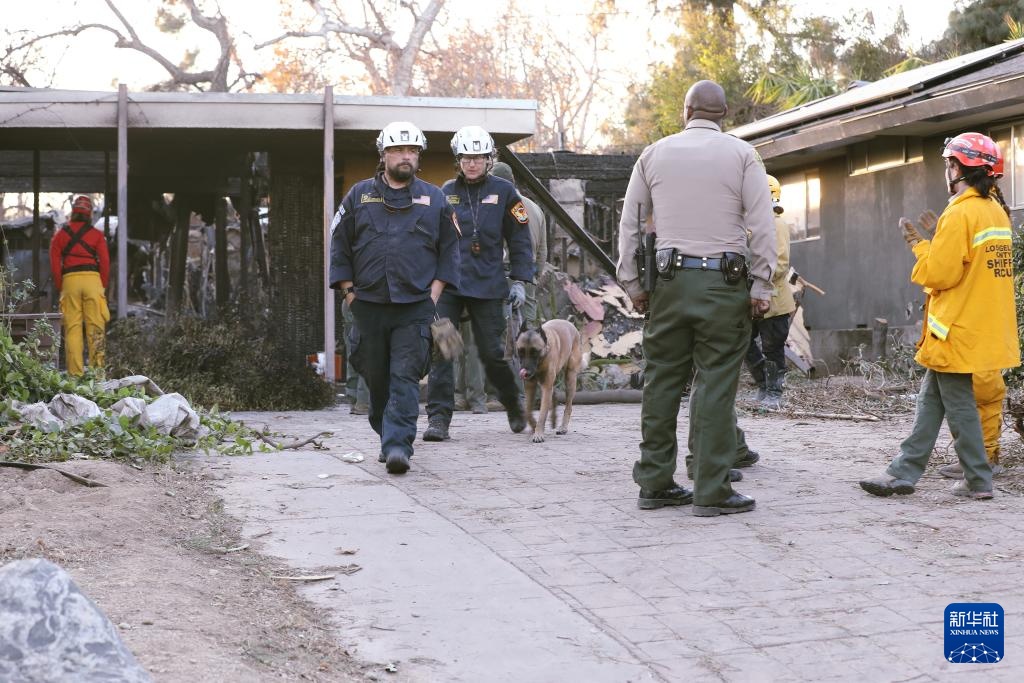 洛杉矶山火:灾后救援 洛杉矶山火:灾后救援