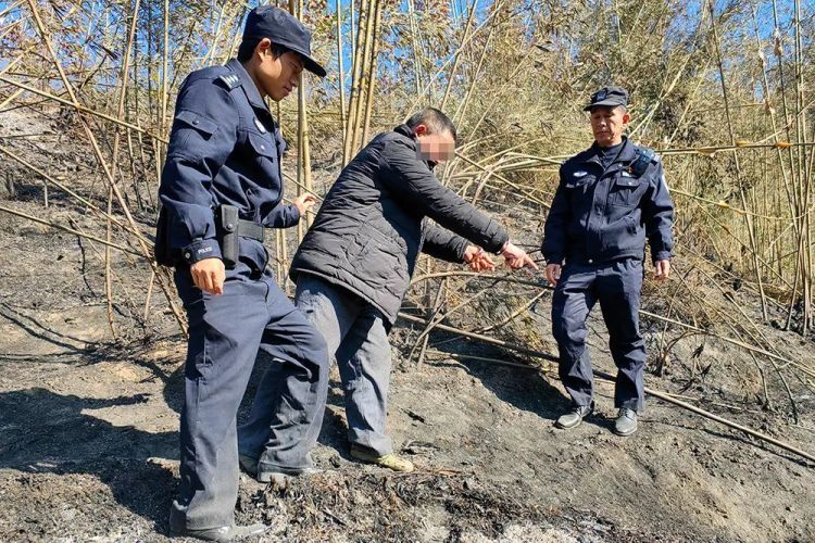 刑拘！男子不当焚烧，酿90多亩山林被毁