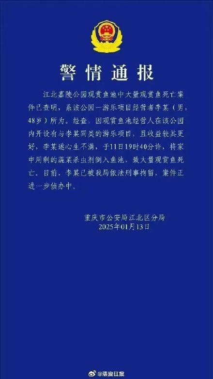 重庆观音桥大量锦鲤死亡系人为投毒 男子已被被刑拘