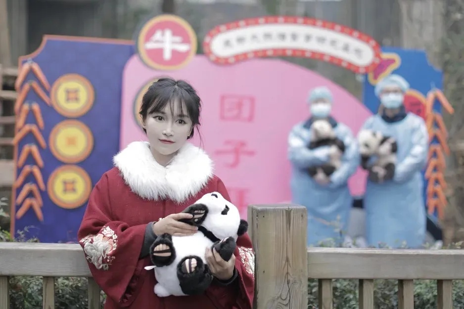 35岁李子柒，又有新消息