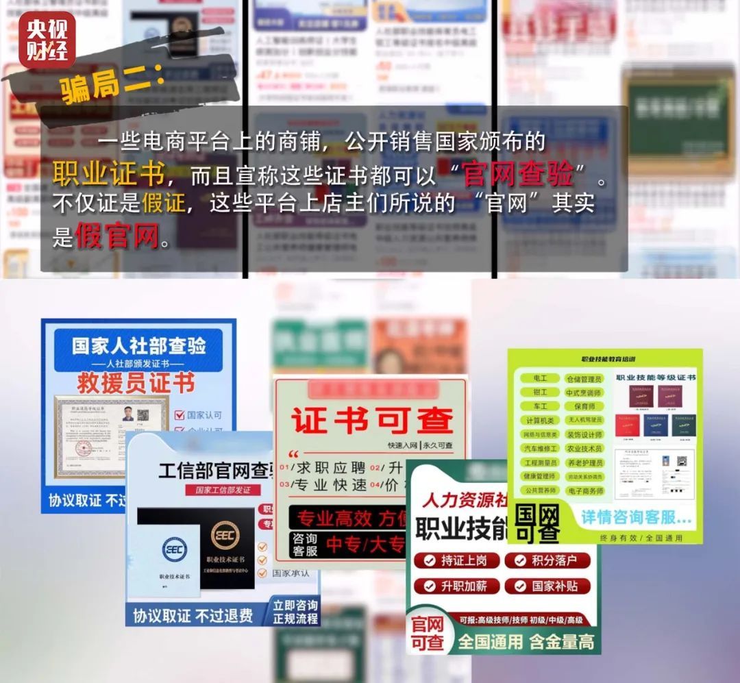 从社保局到高校，20元就能制作山寨官网？骗局曝光→
