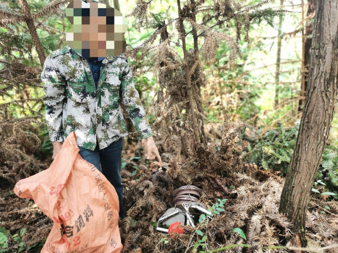 非法狩猎！涉案价值超50万元！