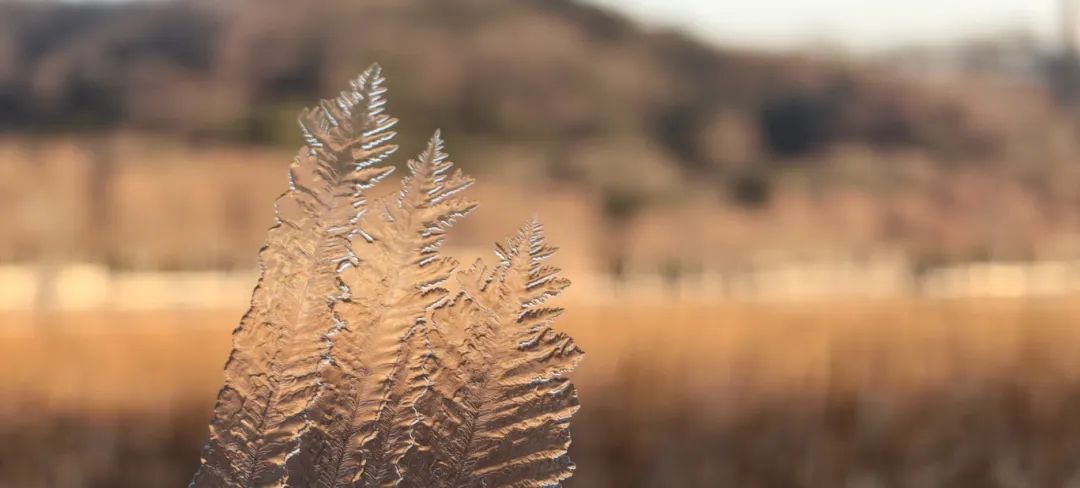 马上抵达！杭州人下班赶紧回家！可能出现倒置！
