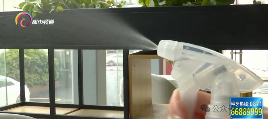 流感季必备！医生揭秘家庭消毒的正确姿势，别再踩雷了！