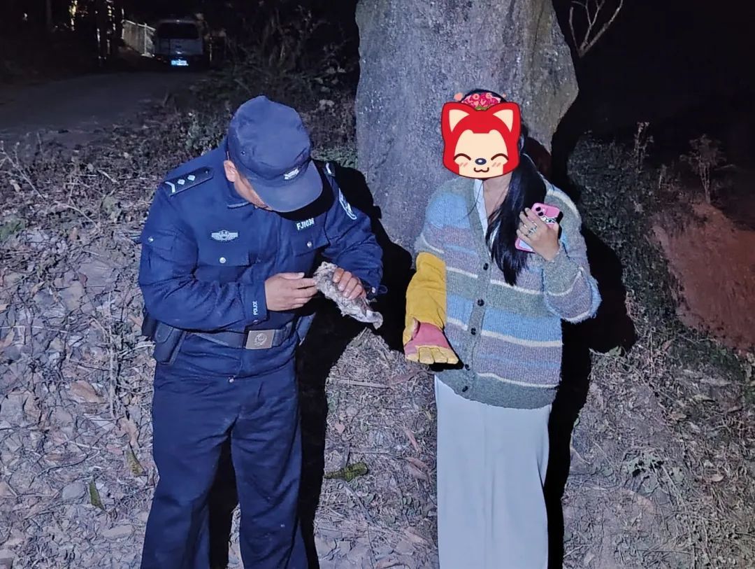 “呆萌”猫头鹰落难,警民携手救助 “呆萌”猫头鹰落难,警民携手救助