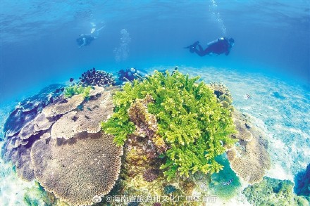 春节期间，海南入境游订单量明显增长