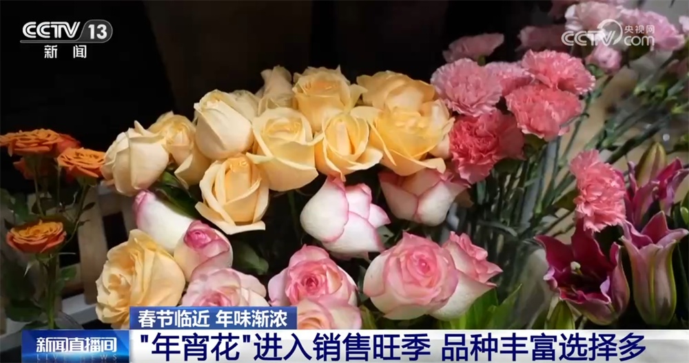 “年宵花”扮靓市场供销两旺 姹紫嫣红中年味渐浓