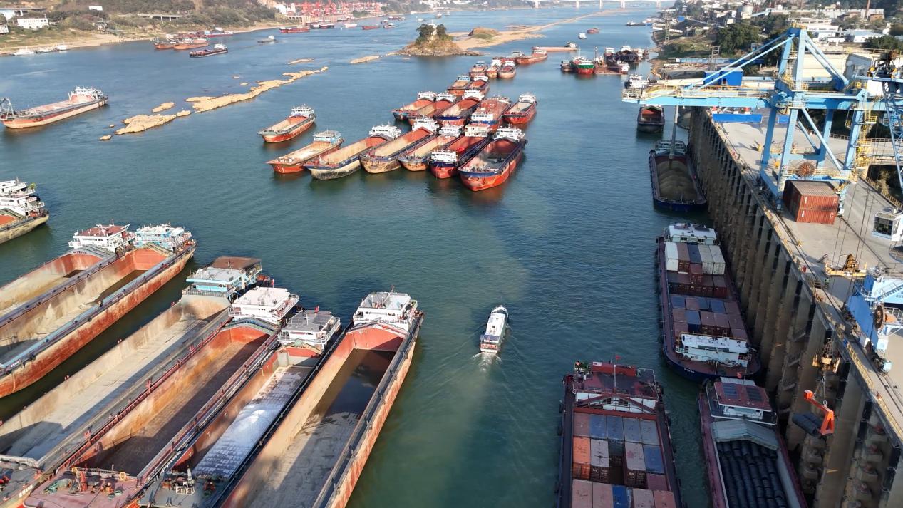 广西梧州港2024年货物吞吐量突破1亿吨