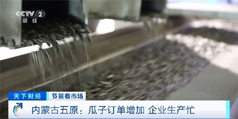 春节前瓜子订单迎高峰 这里的加工企业24小时不停产 春节前瓜子订单迎高峰 这里的加工企业24小时不停产