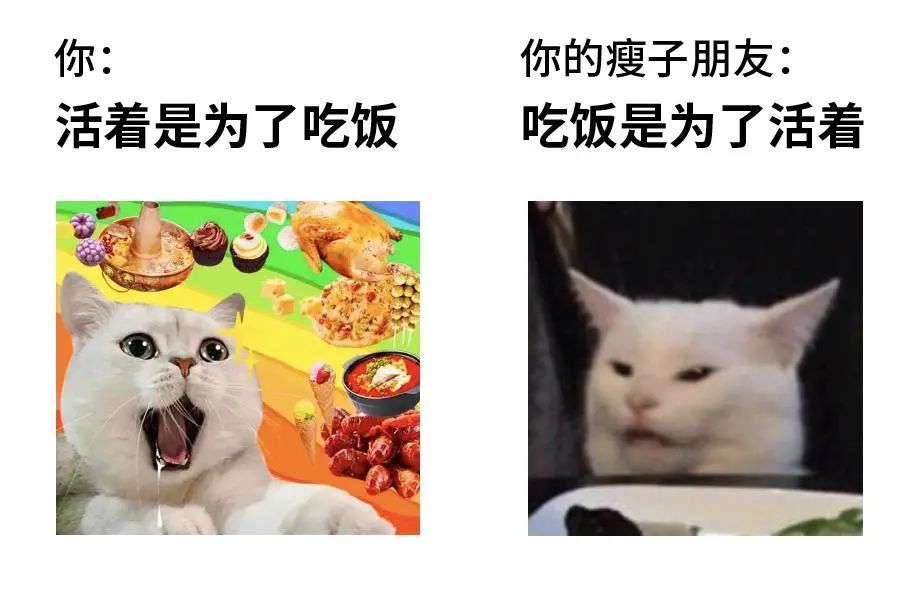 上海女演员金靖一句话引发热议！网友怒赞：姐姐你真的很靠谱