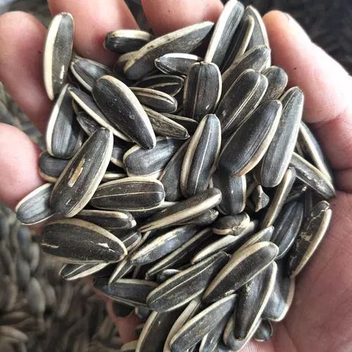 转发提醒！快过年了，这些干果不能买