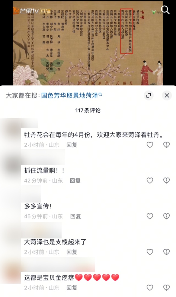 爆火的《国色芳华》牡丹原型来自这里！菏泽文旅喊话......