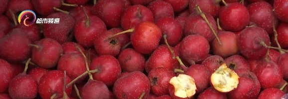 小心这种新上市的水果!吃多会恶心、胃胀、胃痛,严重可能要去洗胃...... 小心这种新上市的水果!吃多会恶心、胃胀、胃痛,严重可能要去洗胃......