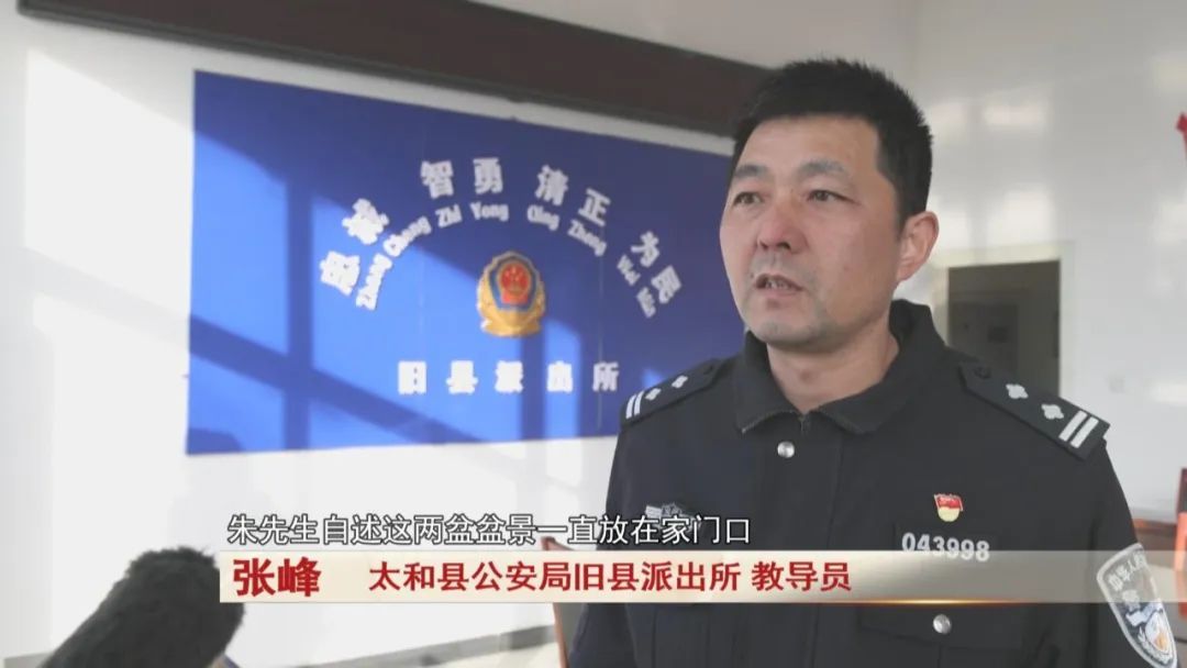 太和：爱花爱鸟成瘾，男子偷盗八哥窃盆景，监控拍下...